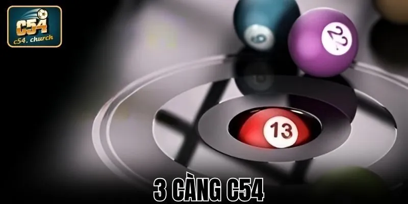 anh dai dien 3 cang c54