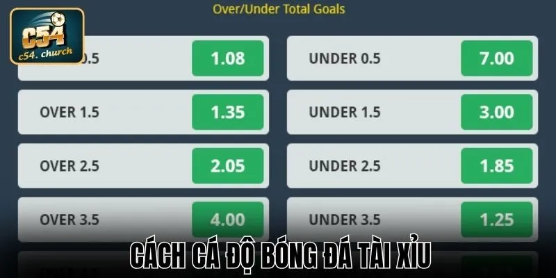 cách cá độ bóng đá tài xỉu