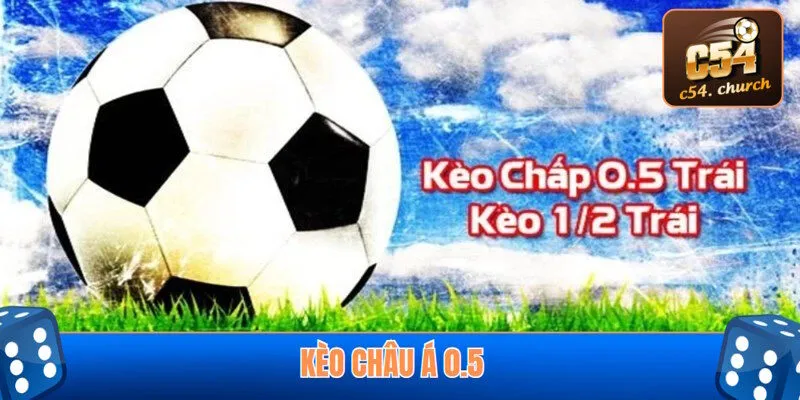 Phân tích chi tiết về tỷ lệ 1/2