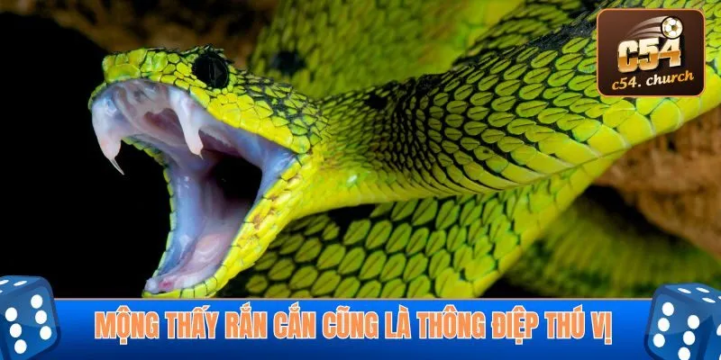 Khám phá nằm mơ thấy rắn đánh số gì