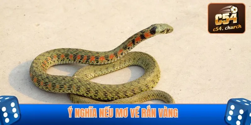 Ý nghĩa nếu mơ về rắn vàng