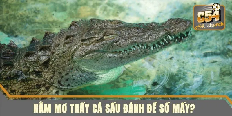 Nằm mơ thấy cá sấu đánh đề số mấy